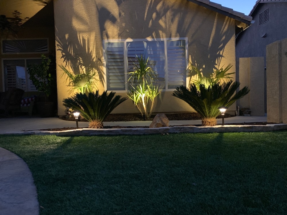 Backyard landscape lighting design